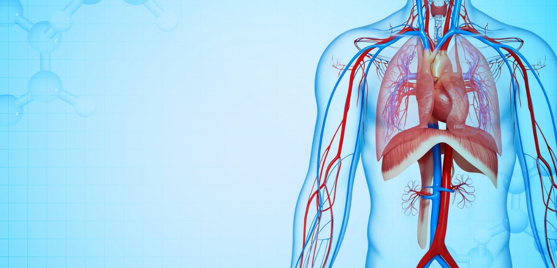 BAHAN POLIMER LINSTANT NINGBO CO. LTD.