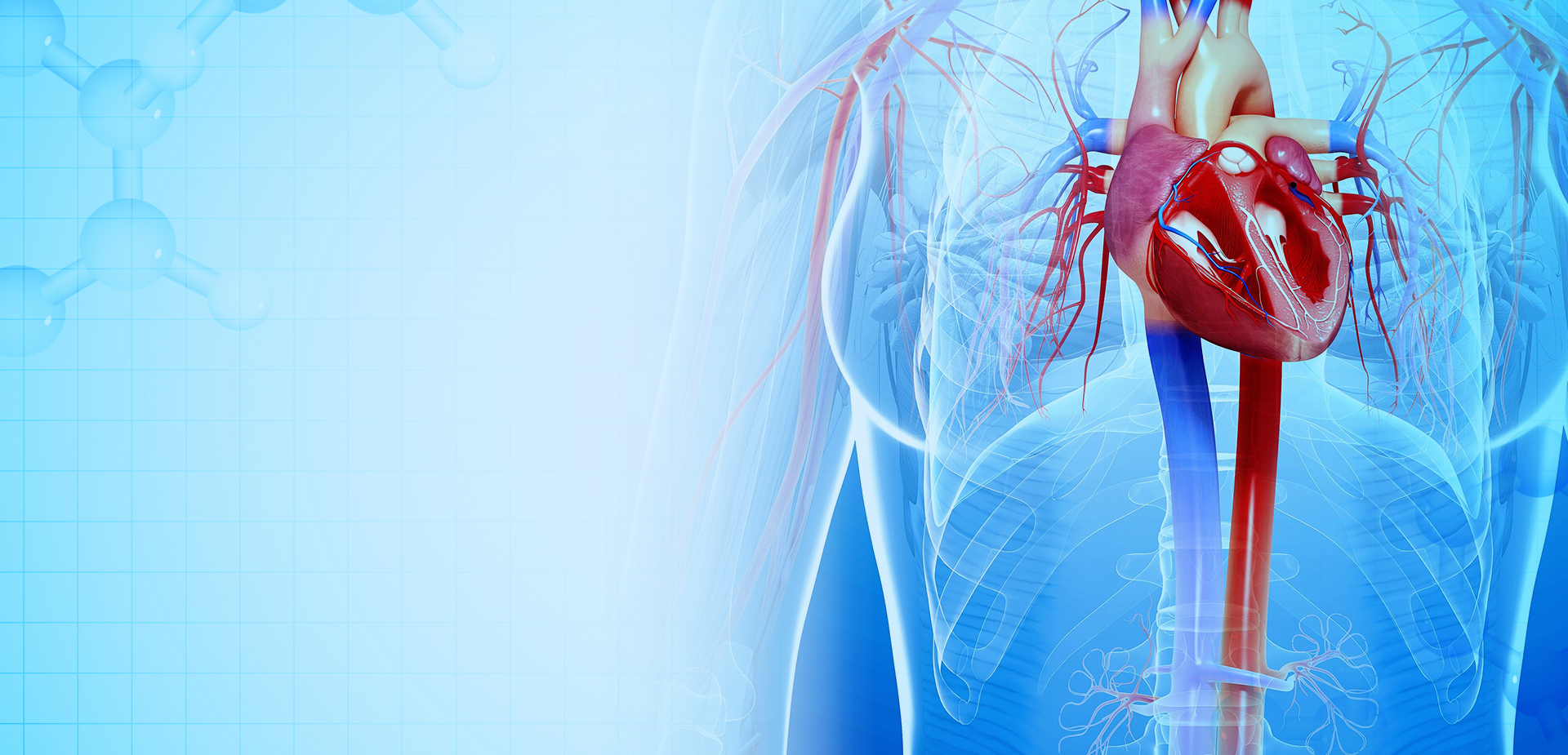 BAHAN POLIMER LINSTANT NINGBO CO. LTD.