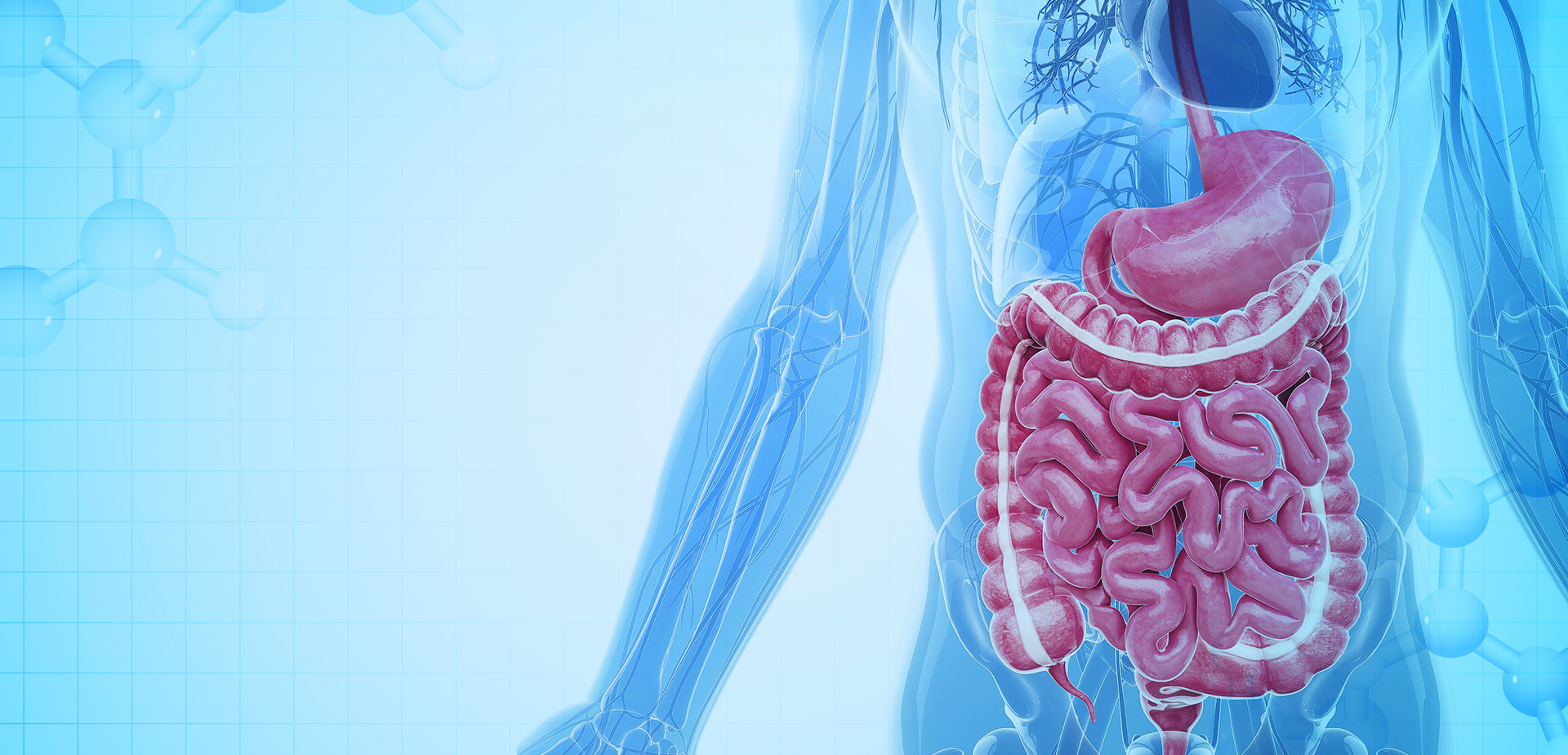 BAHAN POLIMER LINSTANT NINGBO CO. LTD.