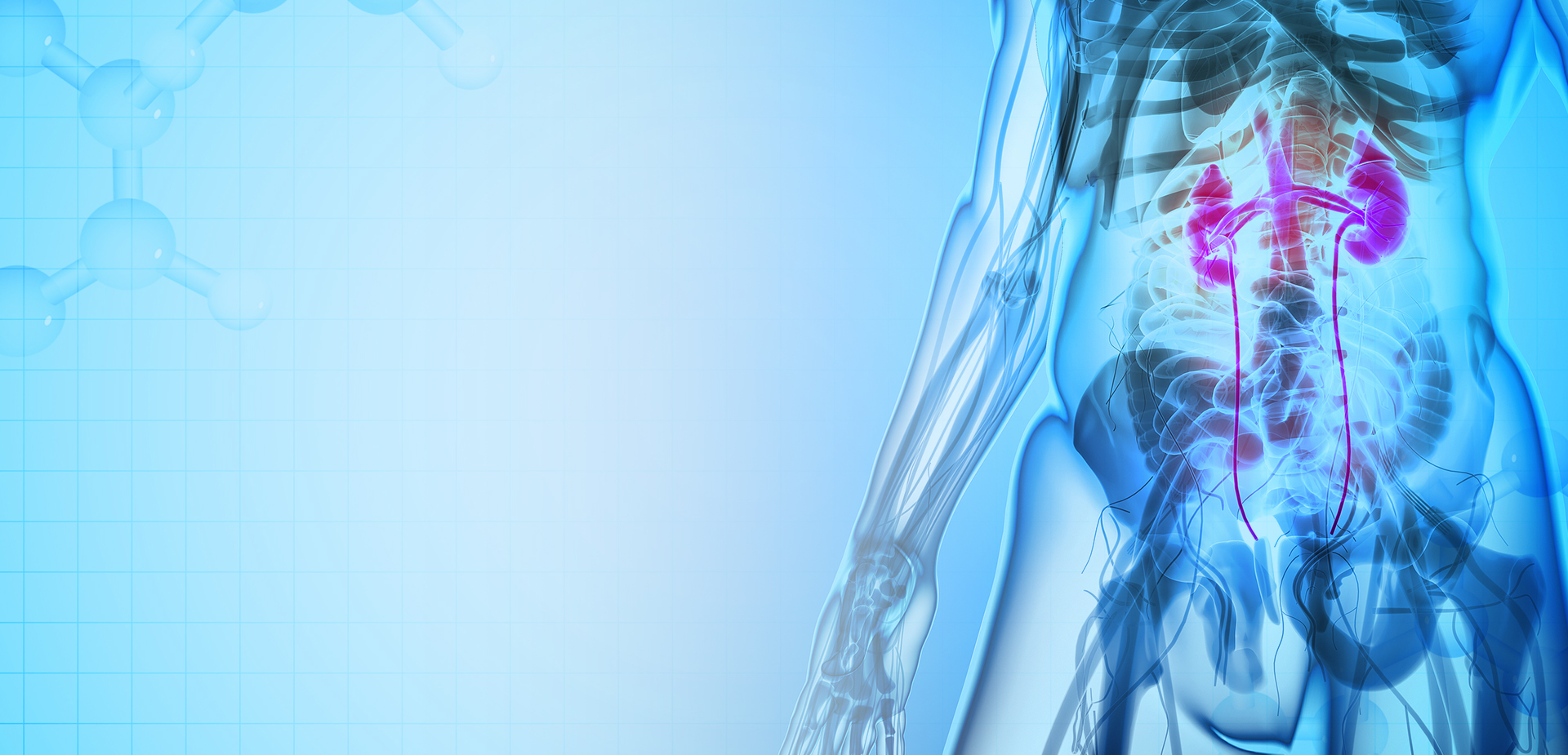 BAHAN POLIMER LINSTANT NINGBO CO. LTD.